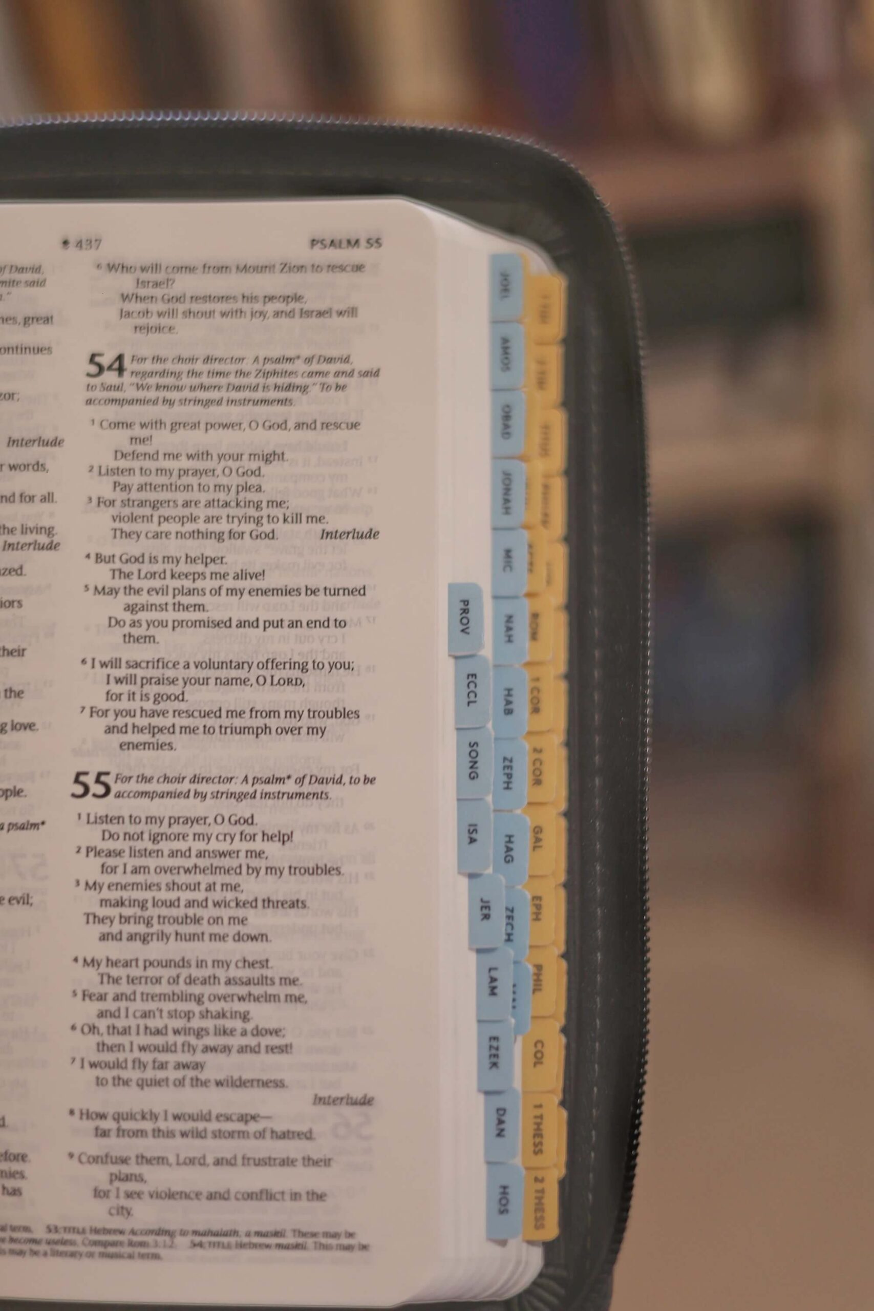 Bible Tabs, old and new testament, for pocket bibles, mini