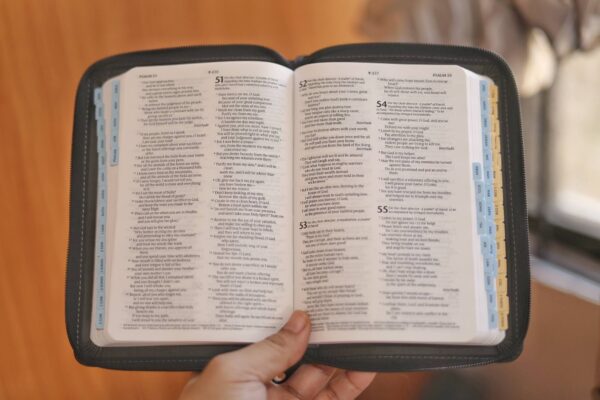 Bible Tabs, old and new testament, for pocket bibles, mini