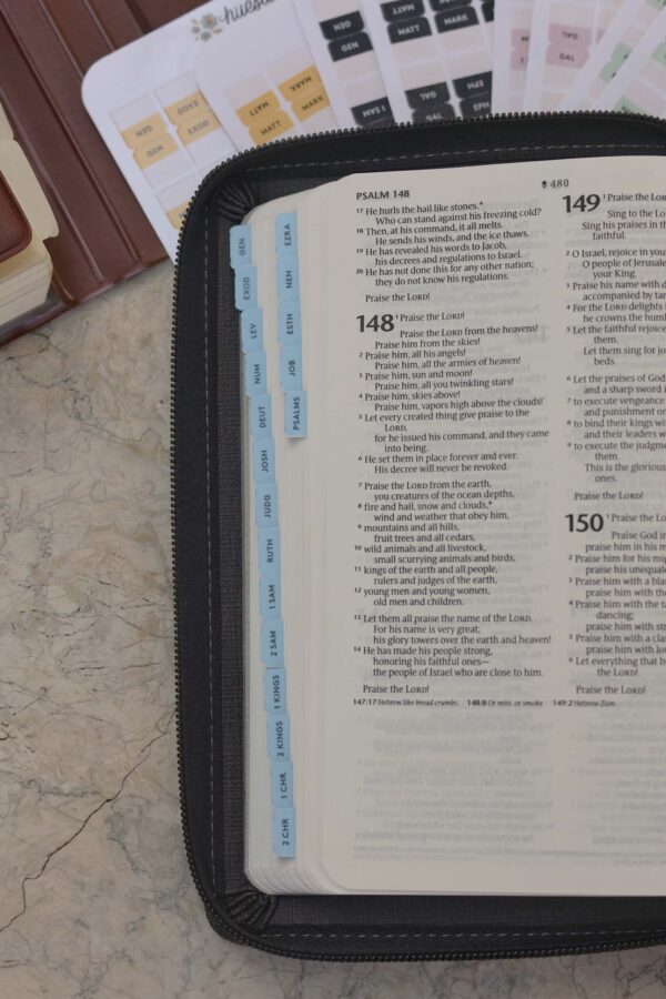 Bible Tabs, old and new testament, for pocket bibles, mini