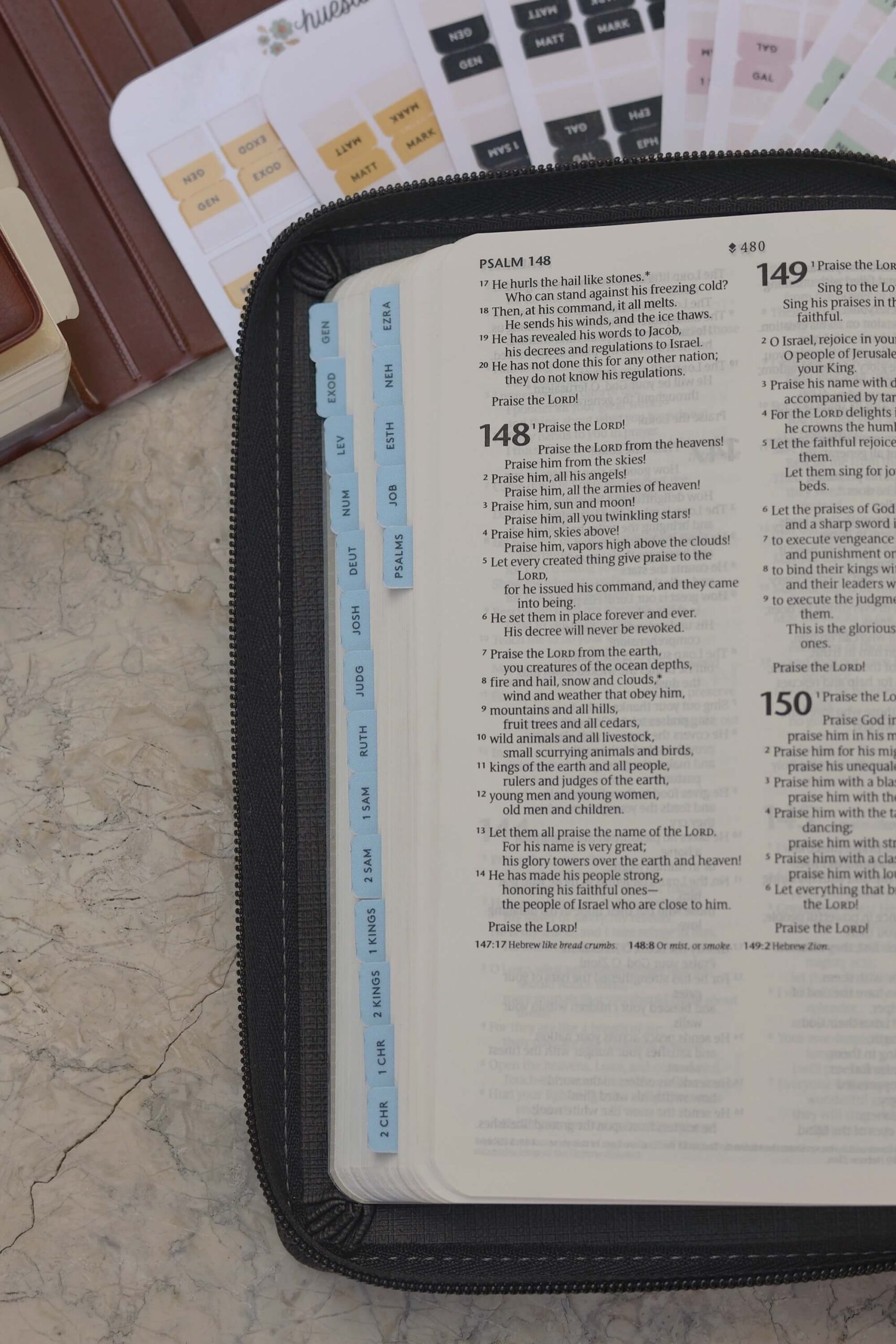Bible Tabs, old and new testament, for pocket bibles, mini